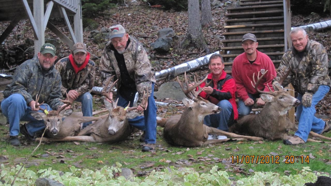 Muskie Bay Resort Nestor Falls Eksteriør bilde